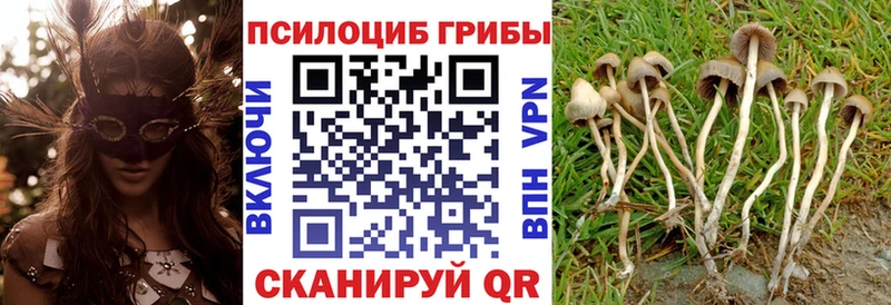 Галлюциногенные грибы мицелий  Купить где  Коломна 